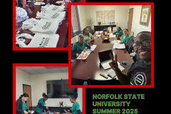 NSU ULHR | Carousel 1